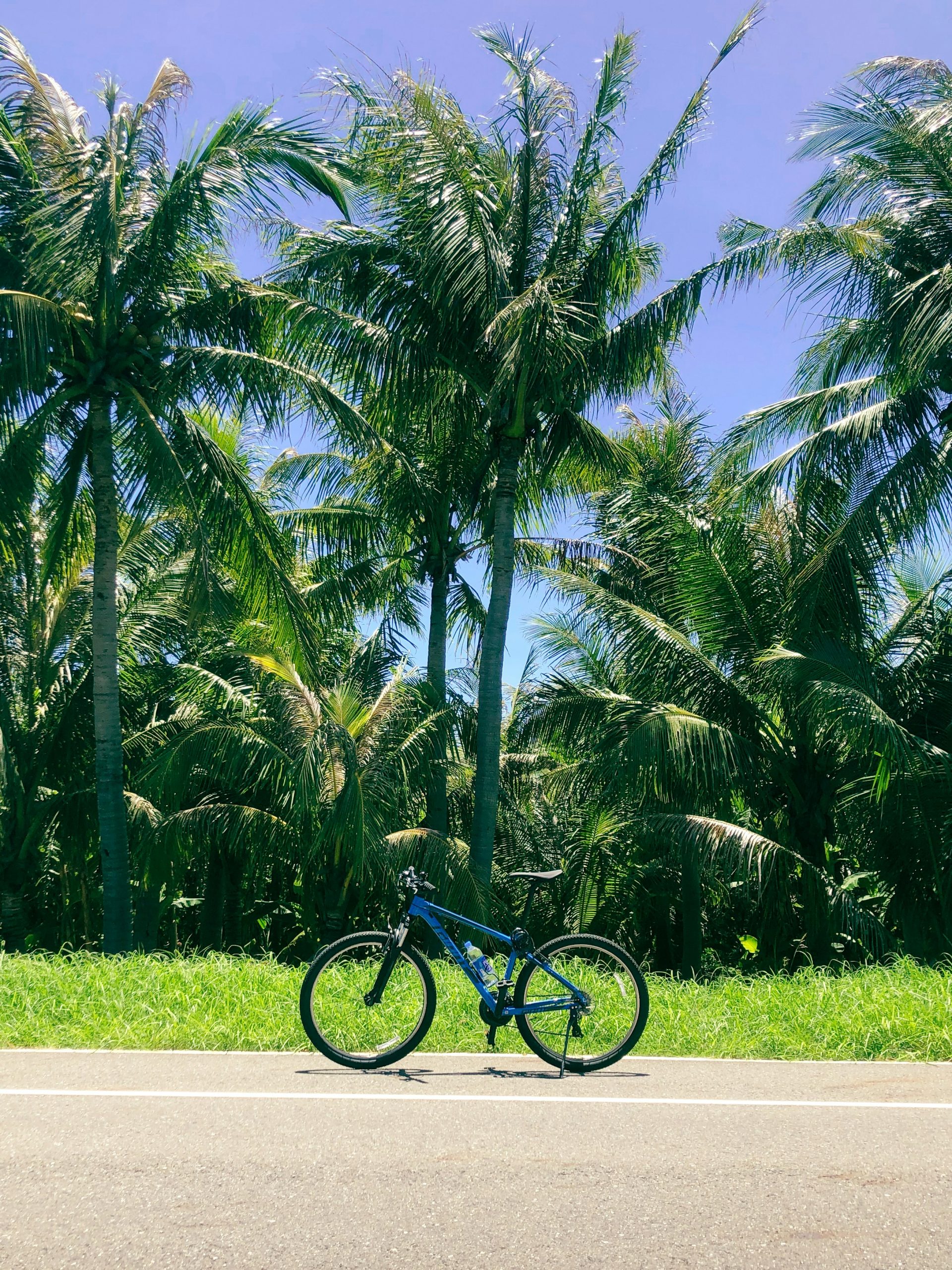 https://happyplanetindex.org/wp-content/uploads/2026/07/vas-ecvGjI_Fh2E-unsplash-scaled.jpg